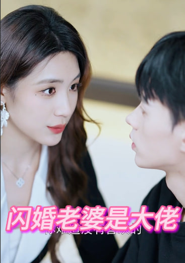 闪婚老婆是大佬
