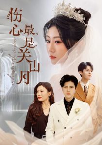 伤心最是关山月《合集》