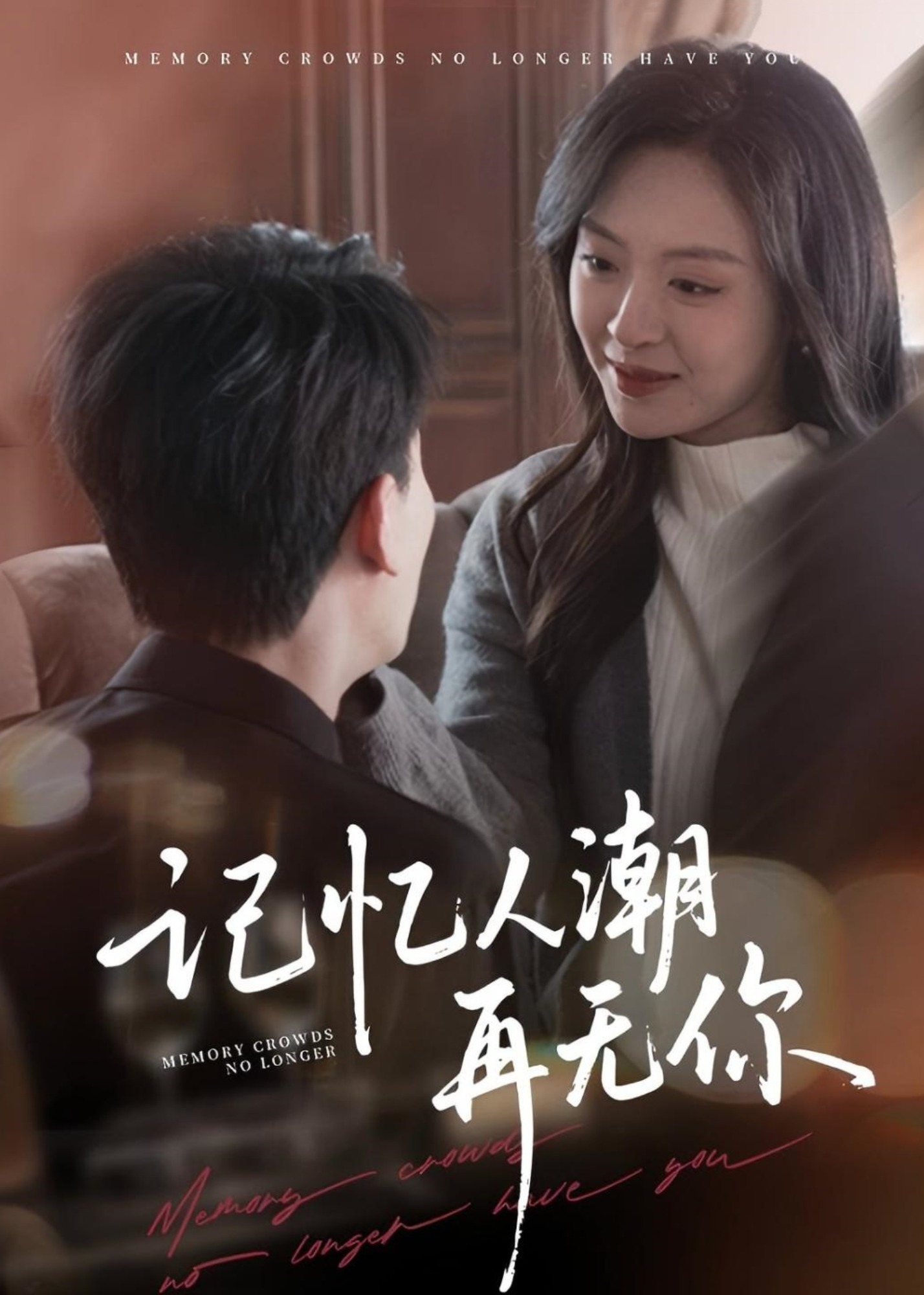 记忆人潮再无你-现代言情