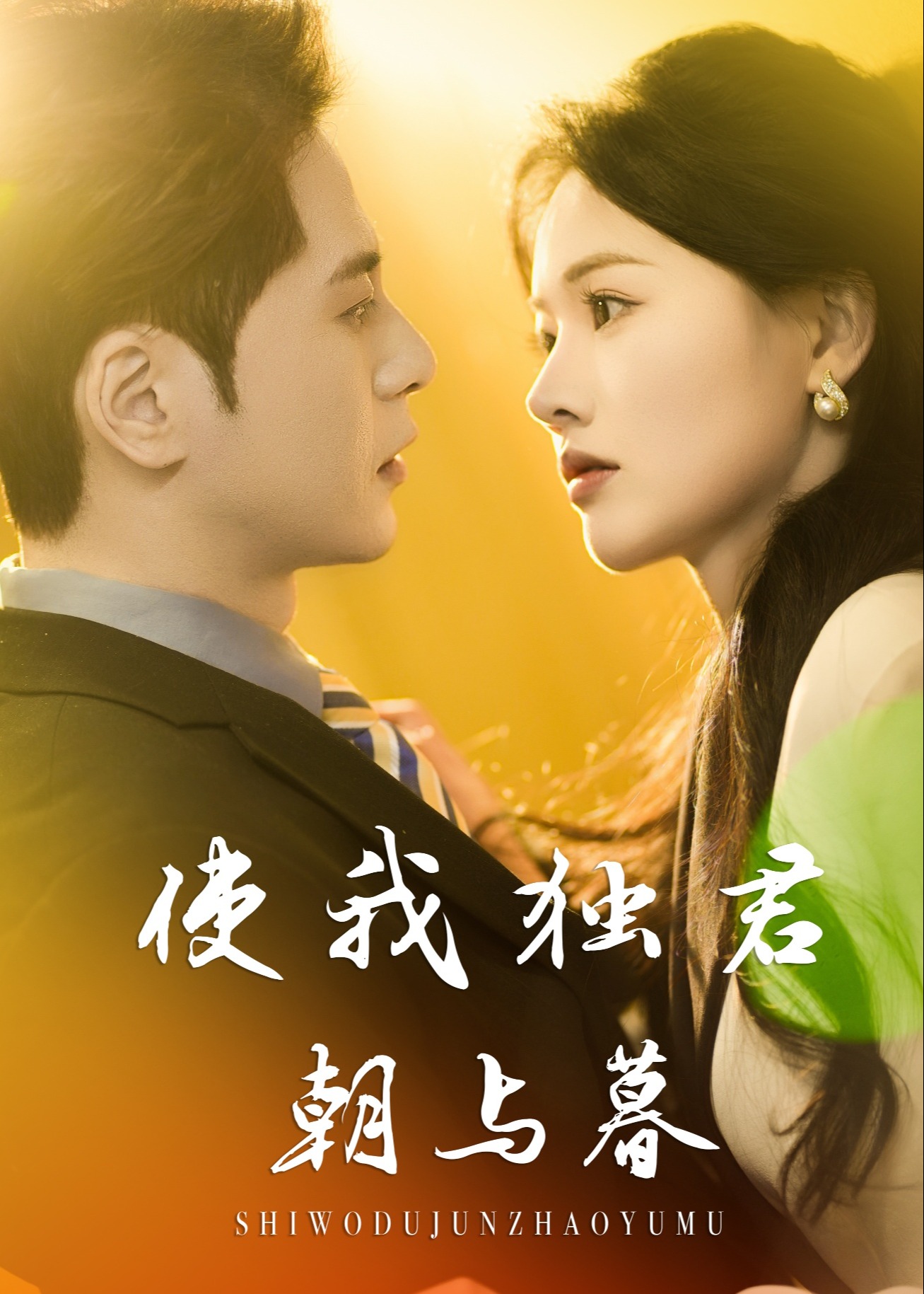 使我独君朝与暮-现代言情
